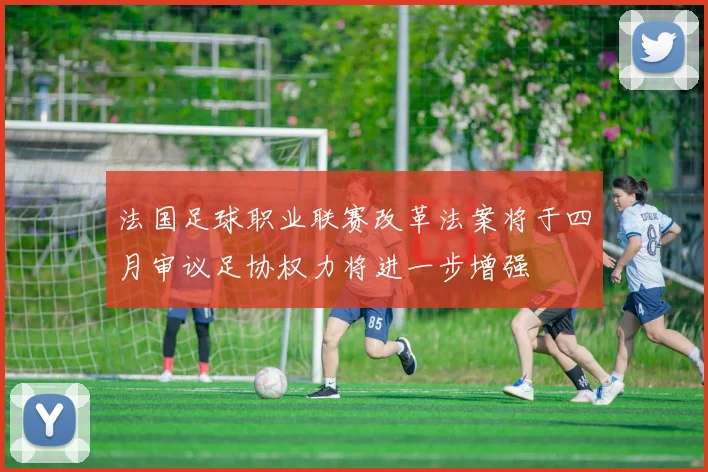 法国足球职业联赛改革法案将于四月审议足协权力将进一步增强